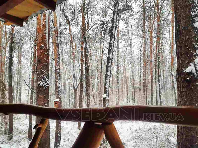 Лесная хижина Бортничи Лесная хижина Бортничи